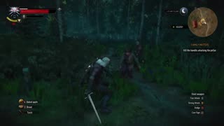 The Witcher 3 Wild Hunt