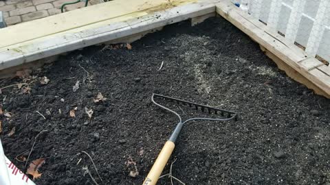 How I Add Dry Feed To My Freshly Compost Prepped Beds