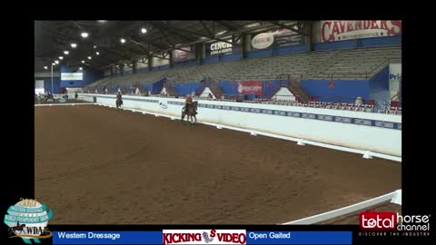 2021 Class 2 WDAA Western Dressage Suitability Walk Jog Lop | Open Gaited