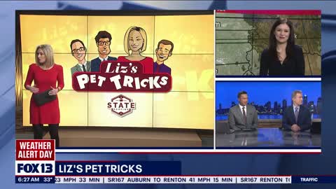 Liz's Pet Tricks for Tuesday, November 29 FOX 13 Seattle