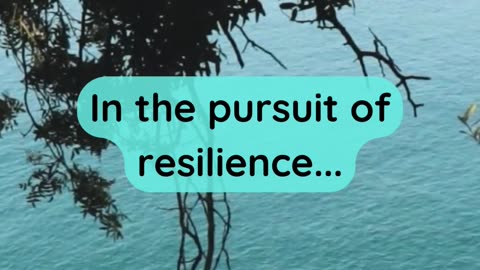 In the pursuit of resilience...