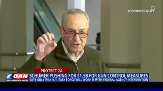 Sen. Schumer pushing for $1.5B for gun control measures