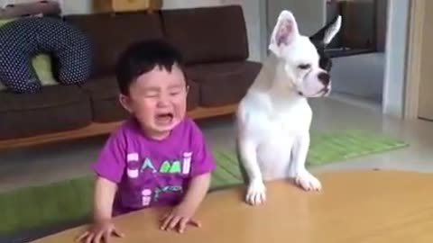 Whatsapp funny videos 2017 - Most funny DOG AND KIDS Videos 2017