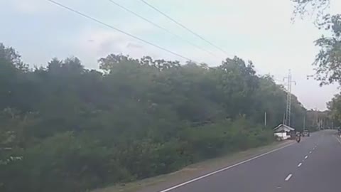 Sri lankan scooter gril vs elephant