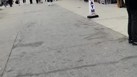 Venice Beach Boardwalk Vibes!