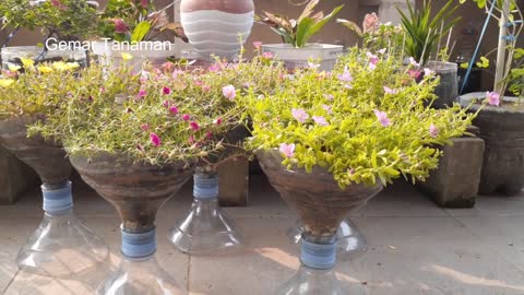 VARIOUS FLOWER POTS FROM USED GALLONS