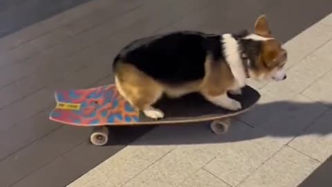 Kirky skateboard