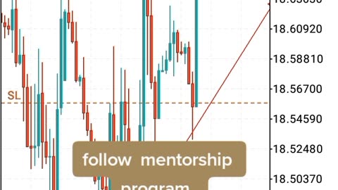 Forex mentorship program