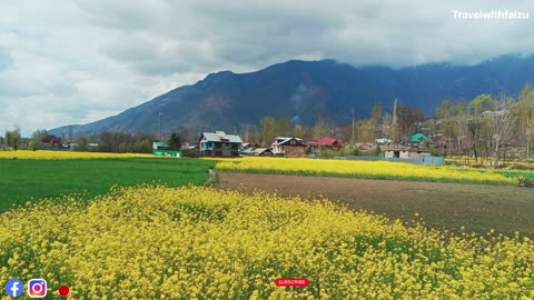 Beauty Of Kashmir