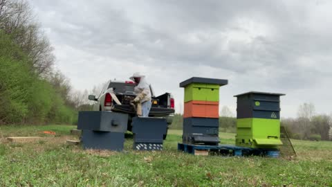 S4E9 - April 10, 2021 LET'S MOVE SOME BEES😱🐝