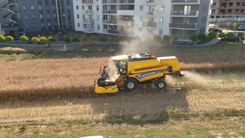 Farmer That Refused to Sell Land Harvests Between Apartment Buildings