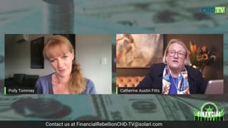 Financial Rebellion Episode 31 Where to Stash Your Cash - Catherine Austin Fitts
