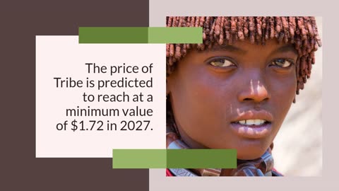 Tribe Price Prediction 2023, 2025, 2030 - How high can TRIBE go