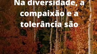 #compaixãoetolerância