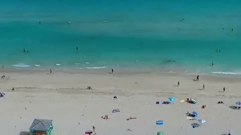 Miami Beach