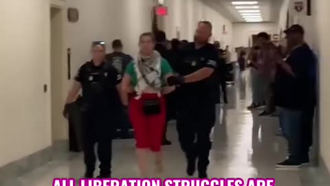 Code Pink Activist Confronts Blinken During Congressional Hearing