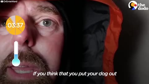 Veterinarian Stays in Freezing Doghouse to Show What It's Like for a Dog | The Dodo