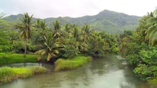 Rainy Weather Nature View