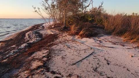 Gulf Coast Golden Hour ( beach walk)