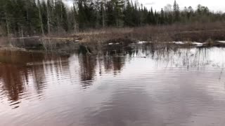 Nice and Muddy in Minocqua