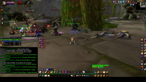 Turtle wow - DME / Dire Maul East Pug - paladin POV