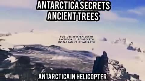 ANTARCTICA SECRET ANCIENT TREES