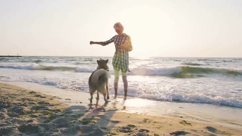 Young female playing with siberian husky dog on the beach at sunrise