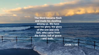 Book of John 1:14