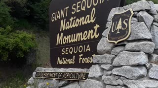 Sequoia National Park and the HUGE trees are a wonder to see. 5/8/23