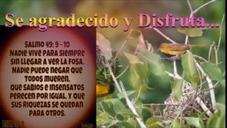 SE AGRADECIDO Y DISFRUTA LO QUE TIENES _ Devocional