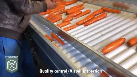 Carrot Juice Making Process | Modern Carrots Harvesting Machine | How Carrot Juice Is Made