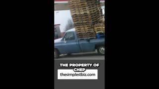 Part 2 uncovering the Surprising Truth About Pallet Scavengers