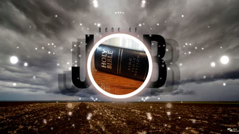 Holy Bible Job 30