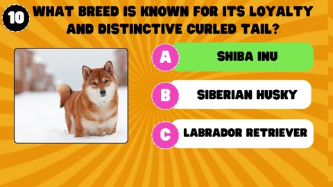 Guess The Dog Breed Challenge! (Ultra Pro Level Questions)