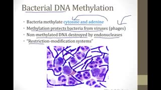 Boards & Beyond Molecular 2018 Biochemestry