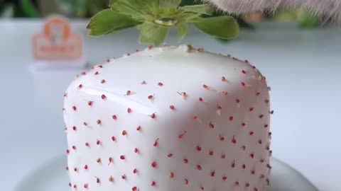 Michelin Chef Cat Making Square Strawberry Chocolate😻🍓#chefcat #catsofyoutube #tiktok #Shorts