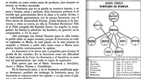 5ª FAMILIA VIRTUDES DE PUREZA