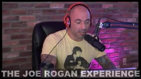Joe Rogan Experience #303 - Matt Vengrin