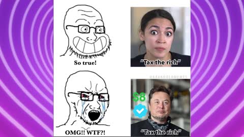 Does Elon Musk Appreciate AOC???