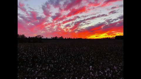 Southern Sky Serenade