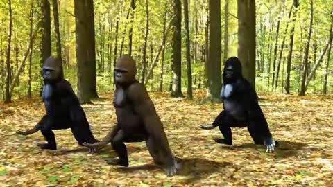 Things We Do Official Music Video (Dancing Gorillas)_Cut