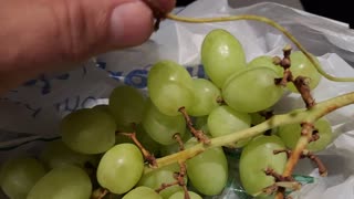 LGBTQ+×÷==÷÷ GRAPES 🍇 WITH NO REPRODUCTION ORGANS