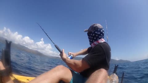Black Marlin Takes Kayaker For A Ride
