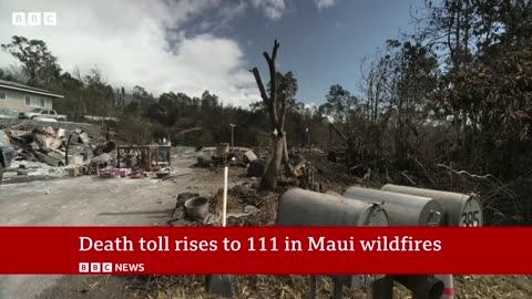 Hawaii wildfire: Maui emergency chief quits after sirens criticism - News Feed