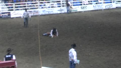 Rodeo Bucking Horse running gone wrong