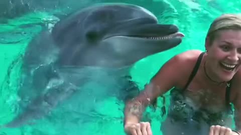 Dolphin 🐬 kissing a young woman in the sea