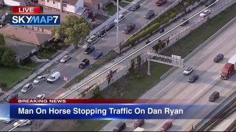 Dreadhead Cowboy rides horse on Dan Ryan Expressway .