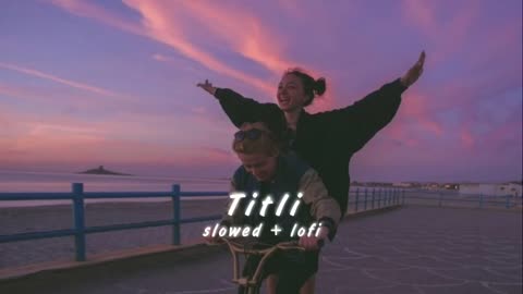 Ban ke Titli Dil Uda || slowed + lofi || aesthetic vibe || lofi VIBIE