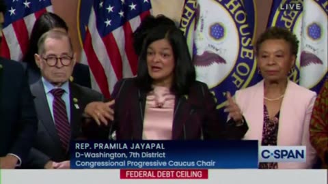 Democrat Rep Gets Flustered Over Reporter Not Pushing Her Narrative