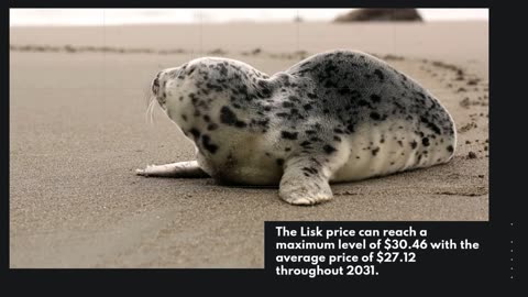 Lisk Price Prediction 2023 LSK Crypto Forecast up to $1.54